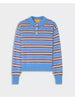 Collegiate stripe polo